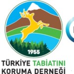 ttkd kullanıcısının profil fotoğrafı